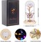 Gifts for Women Mom Birthday Gifts Galaxy Glass Rose Forever Preserved Flowers for Delivery Prime Artificial Eternal Rose in Glass Dome Mothers Day Moms Gift for Grandma Wife Daughter, Rainbow
